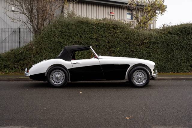 1959 Austin Healey 2.6 100/6